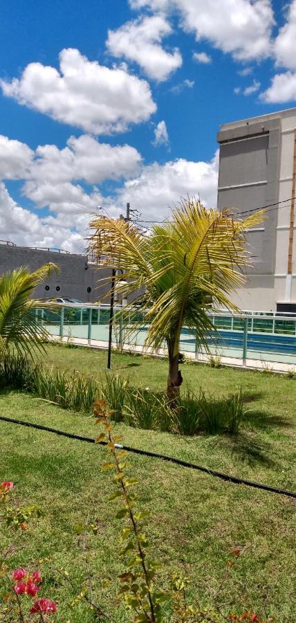 Apartment Plaza Fraga Maia